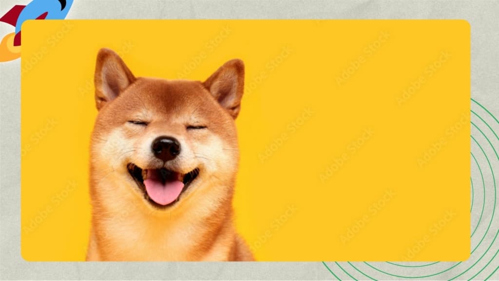 Top Startup Investors in Algieri - HappyShiba